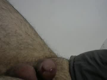dilaradagci auf Chaturbate